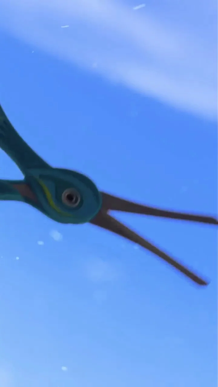reels