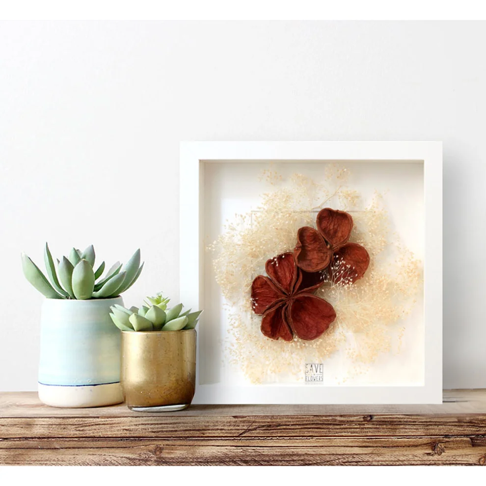 Save The Flowers - Exotic Shells Frame