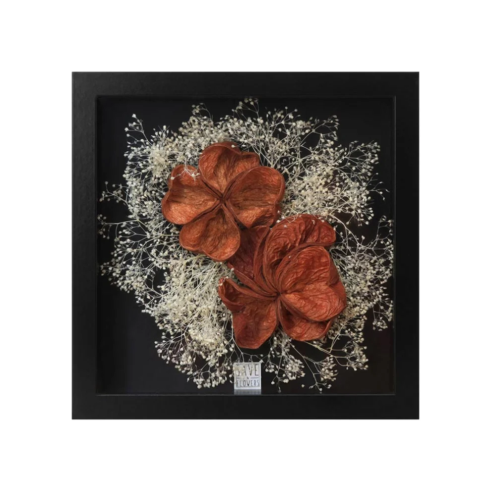Save The Flowers - Exotic Shells 2 Frame
