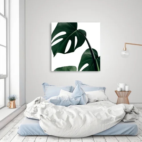 Action Zebra	 - Monstera Art Print