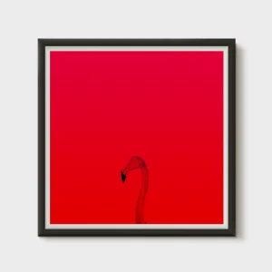 Red Flamingo Art Print