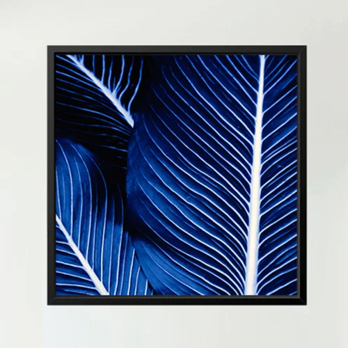 Action Zebra	 - Palm Blue Art Print