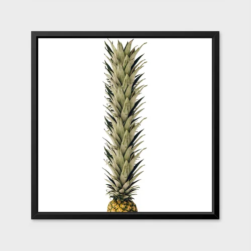 Action Zebra	 - Endless Pineapple Poster