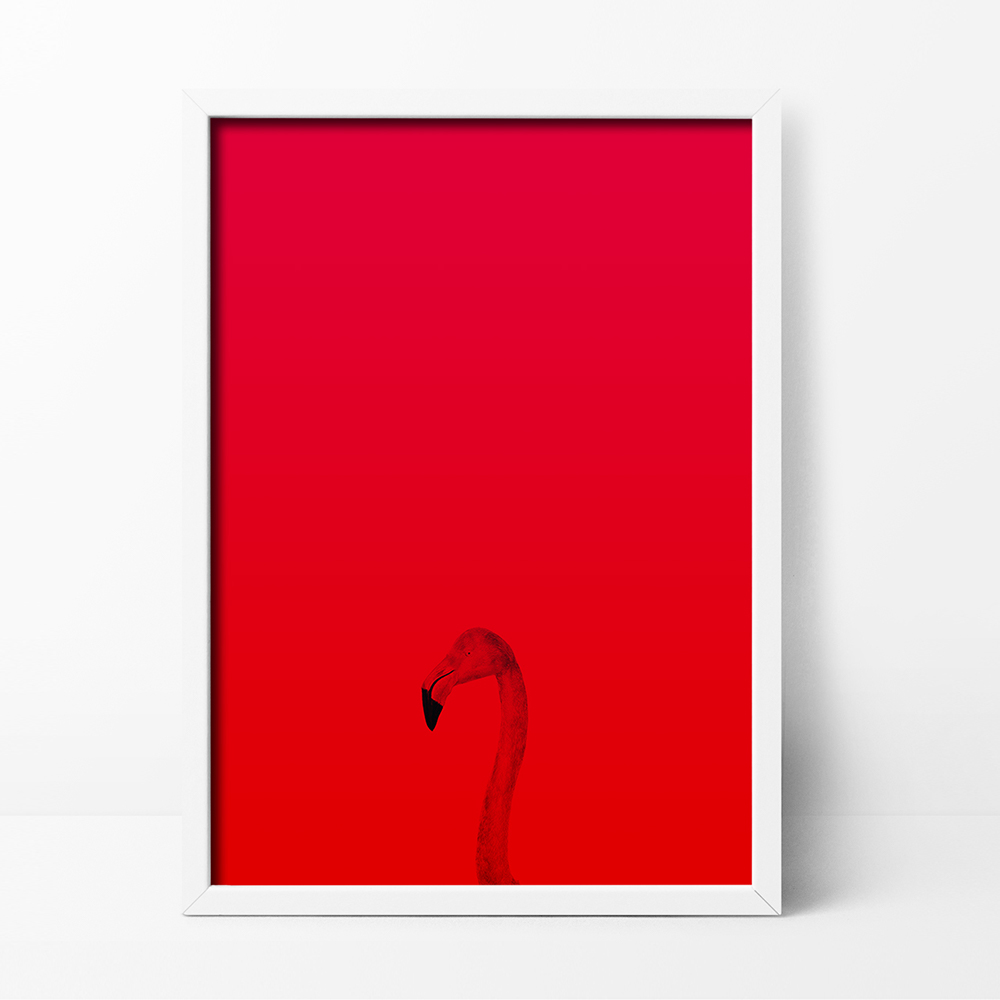 Red Flamingo Poster