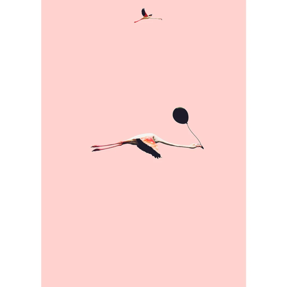 Action Zebra	 - Fly Flamingo Poster