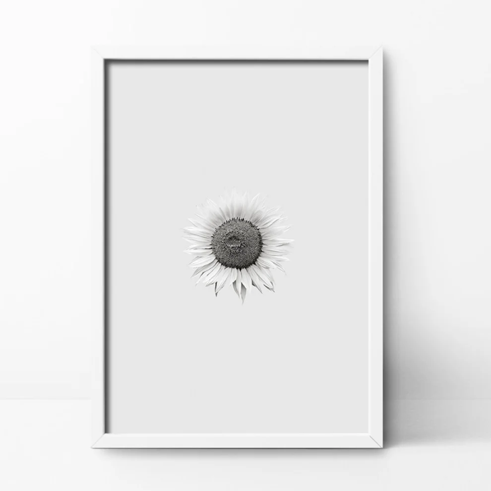 Action Zebra	 - Sun Flower Poster