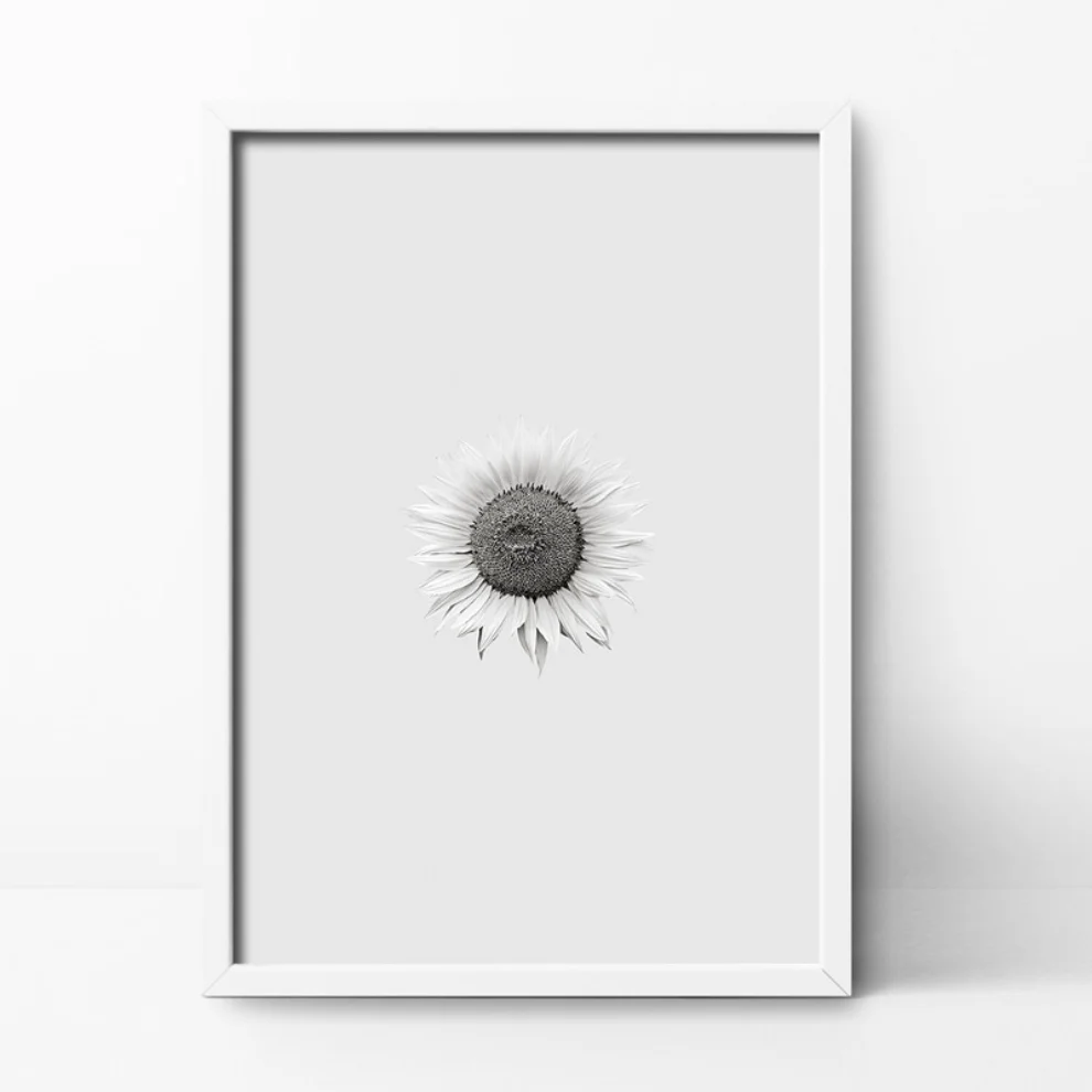 Action Zebra	 - Sun Flower Art Print