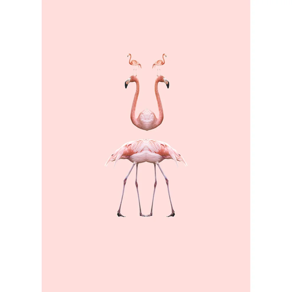 Action Zebra	 - Go Flamingo Art Print