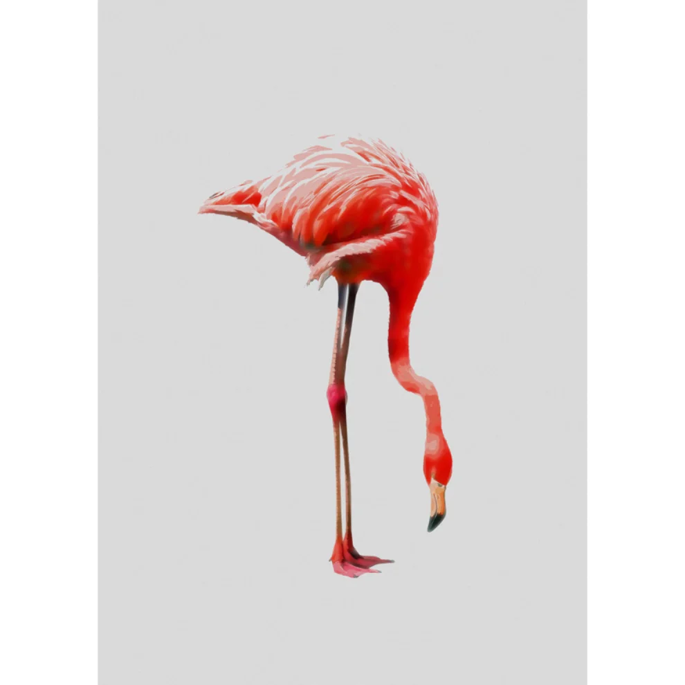 Action Zebra	 - Flamingo Art Print