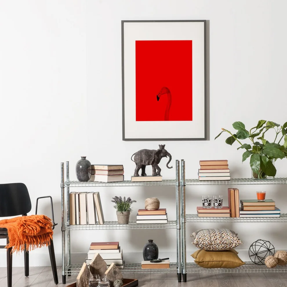 Action Zebra	 - Red Flamingo Art Print