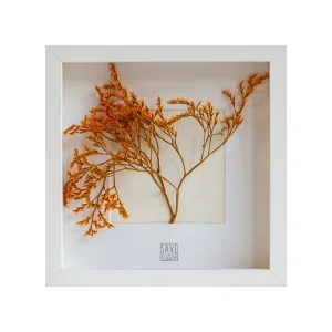 Square 25 Frame