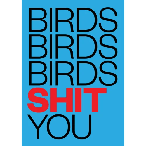 Every Other Day - Birds Birds Birds Shit You Poster