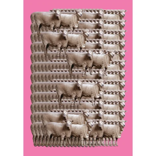 Every Other Day - Sheeps Poster