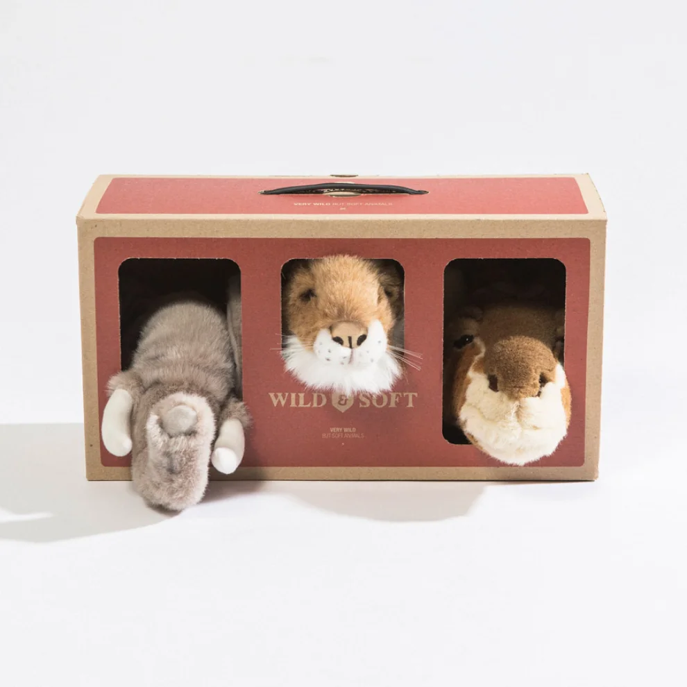 Wild & Soft - Mini Safari Box Wall Decor