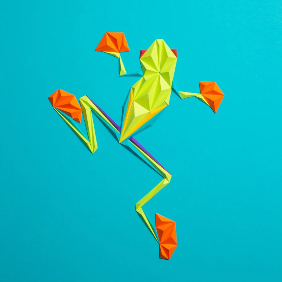 Paperpan	 - Frog Friend Artwork