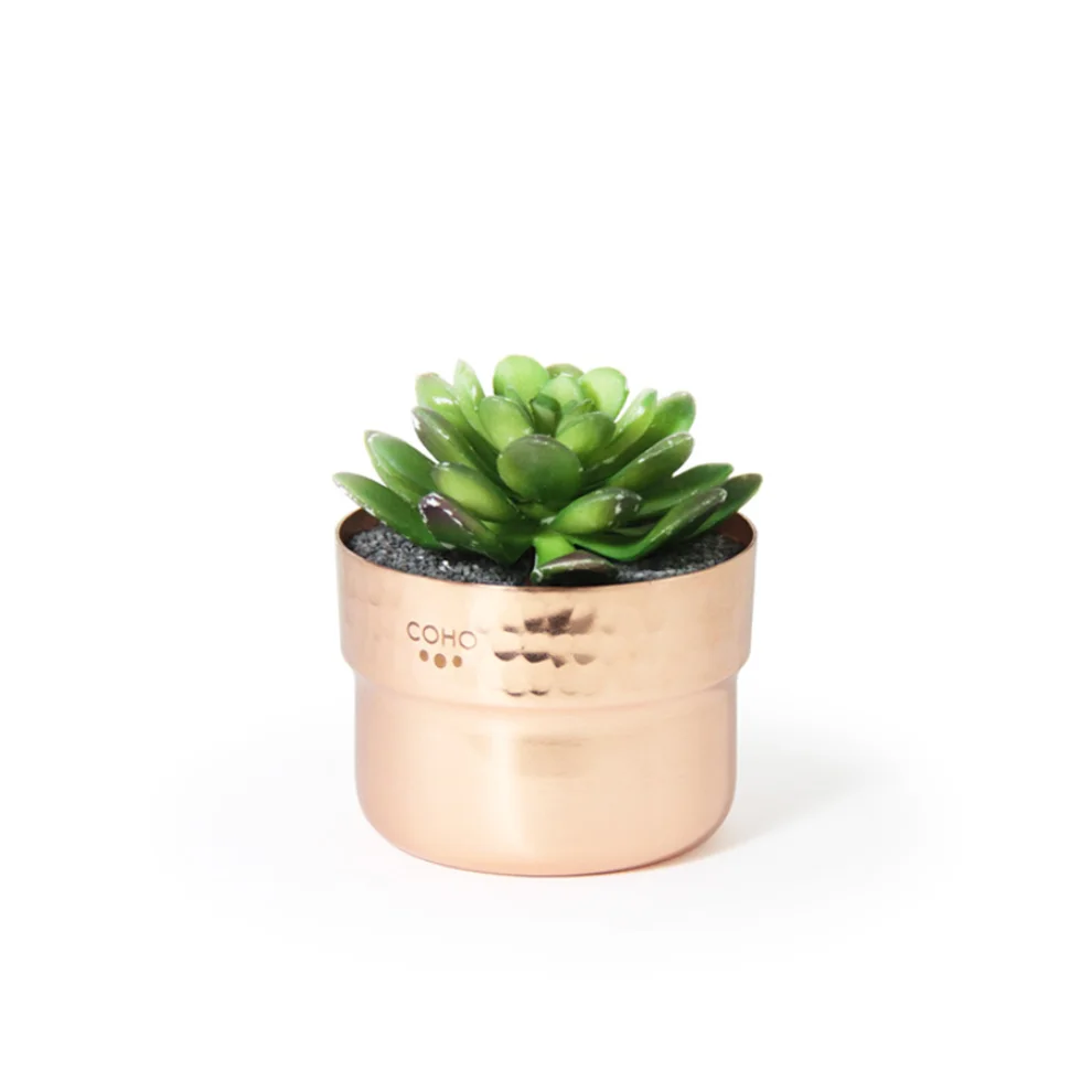 Coho Objet	 - Artisan Prime Copper Planter