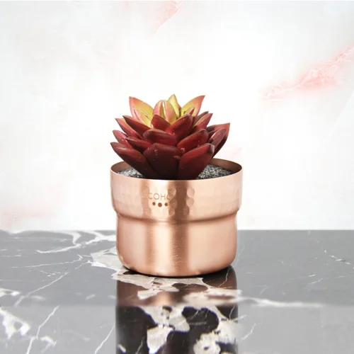 Coho Objet	 - Matte Prime Copper Planter