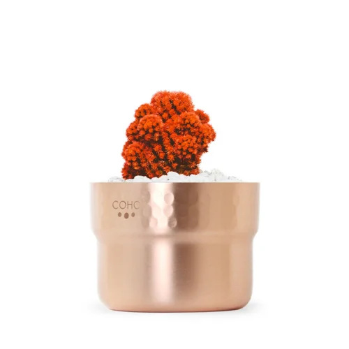 Coho Objet	 - Matte Prime Copper Planter