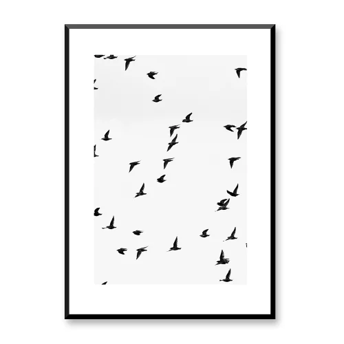 Normmade - Birds Print