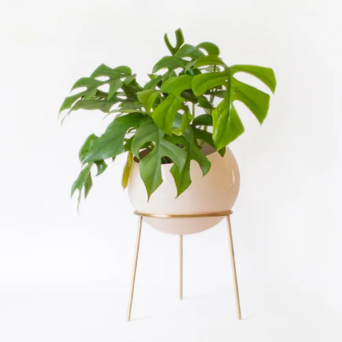 Kitbox Design - Globe Planter