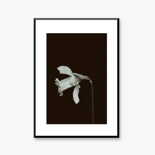 Normmade - Vintage Flower 3 Print