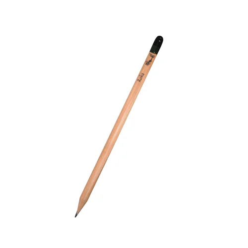 SosyalBen Store - Seed Pencil