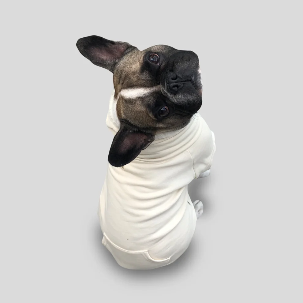 Cream Grey - Ivory Basic Kedi / Köpek Sweatshirt