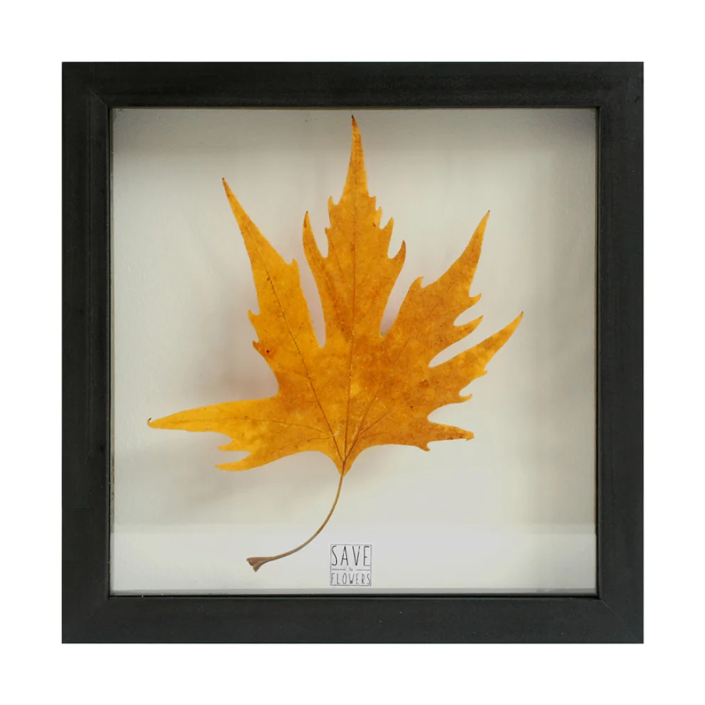 Save The Flowers - Glass No1 Frame
