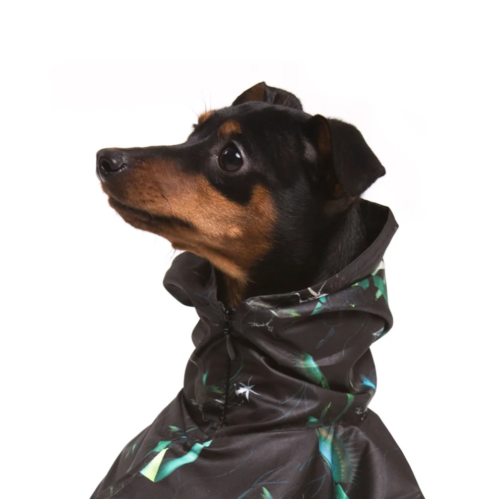 Coucou - Printed Dog Raincoat
