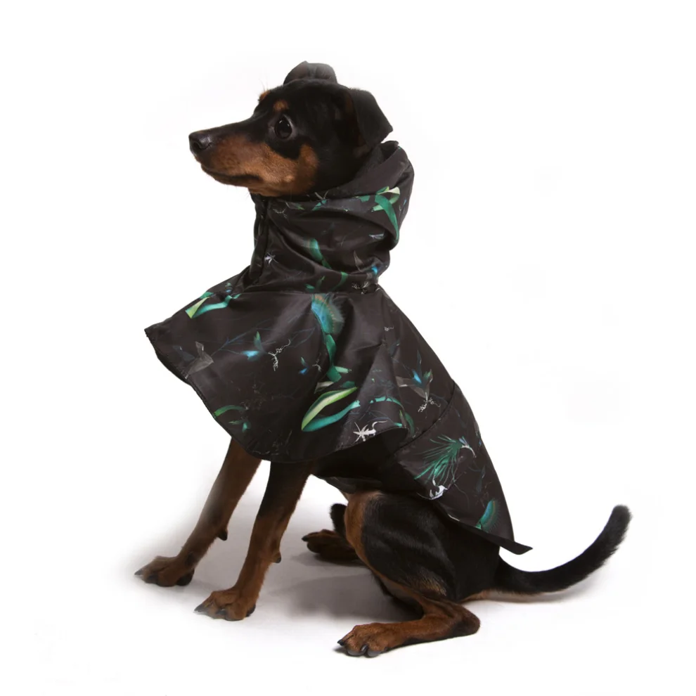 Coucou - Printed Dog Raincoat