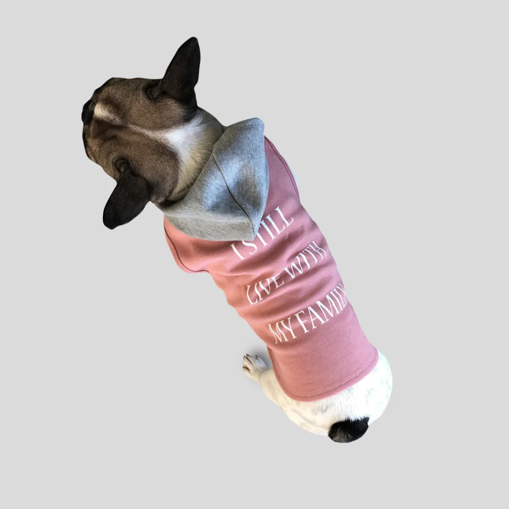 Cream Grey - Mary Printed Cat/Dog Sweatshirt