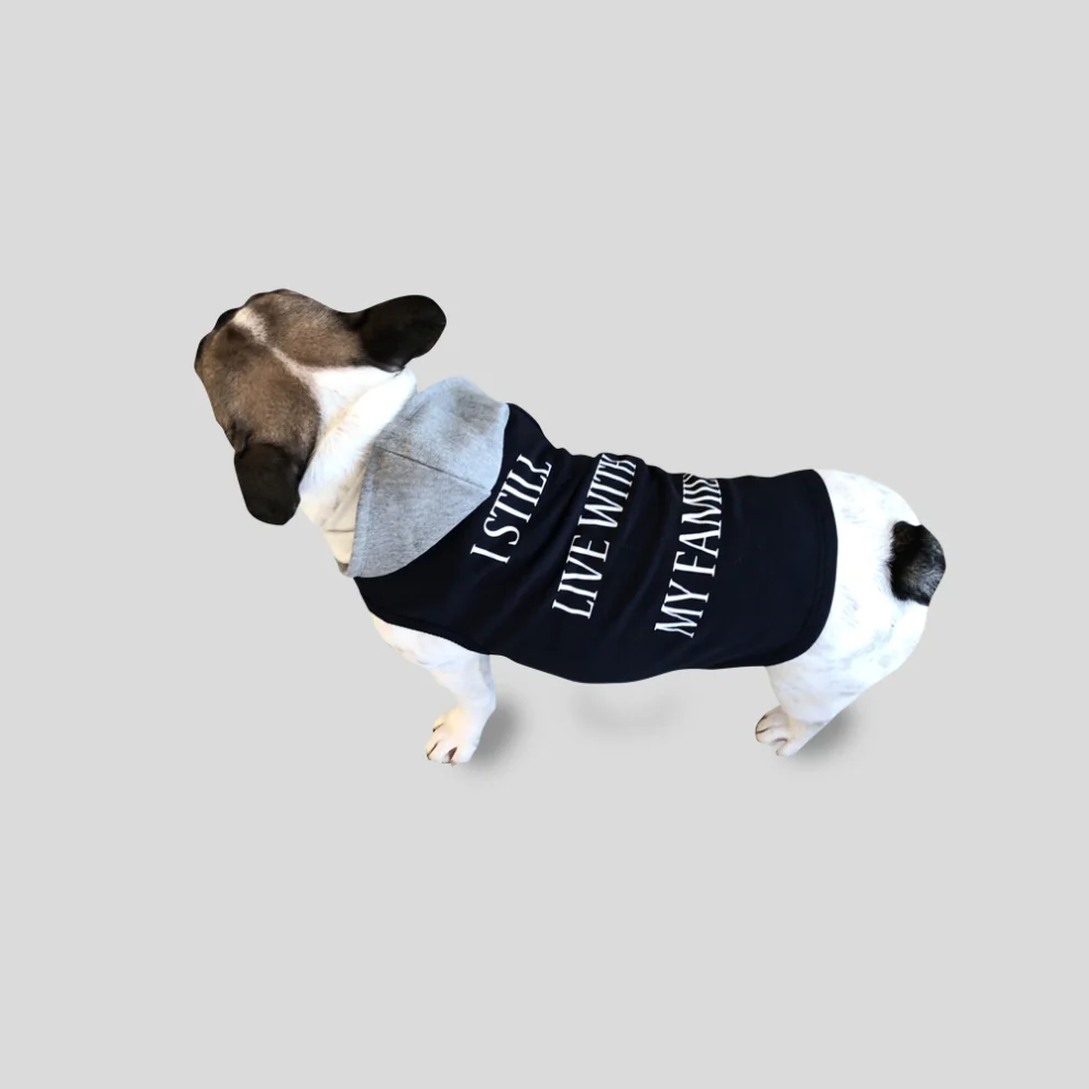 Cream Grey - Max Baskılı Kedi/Köpek Sweatshirt