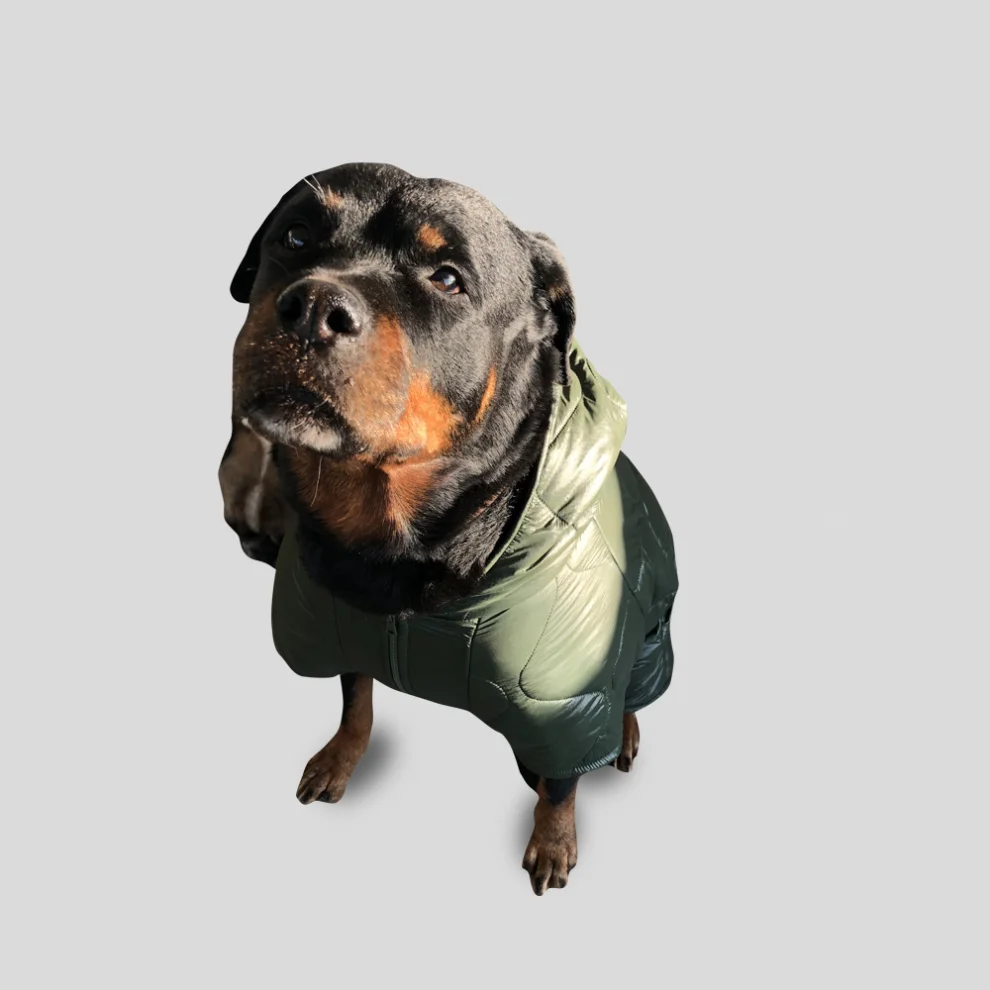Cream Grey - Nova Dog Coat/Raincoat