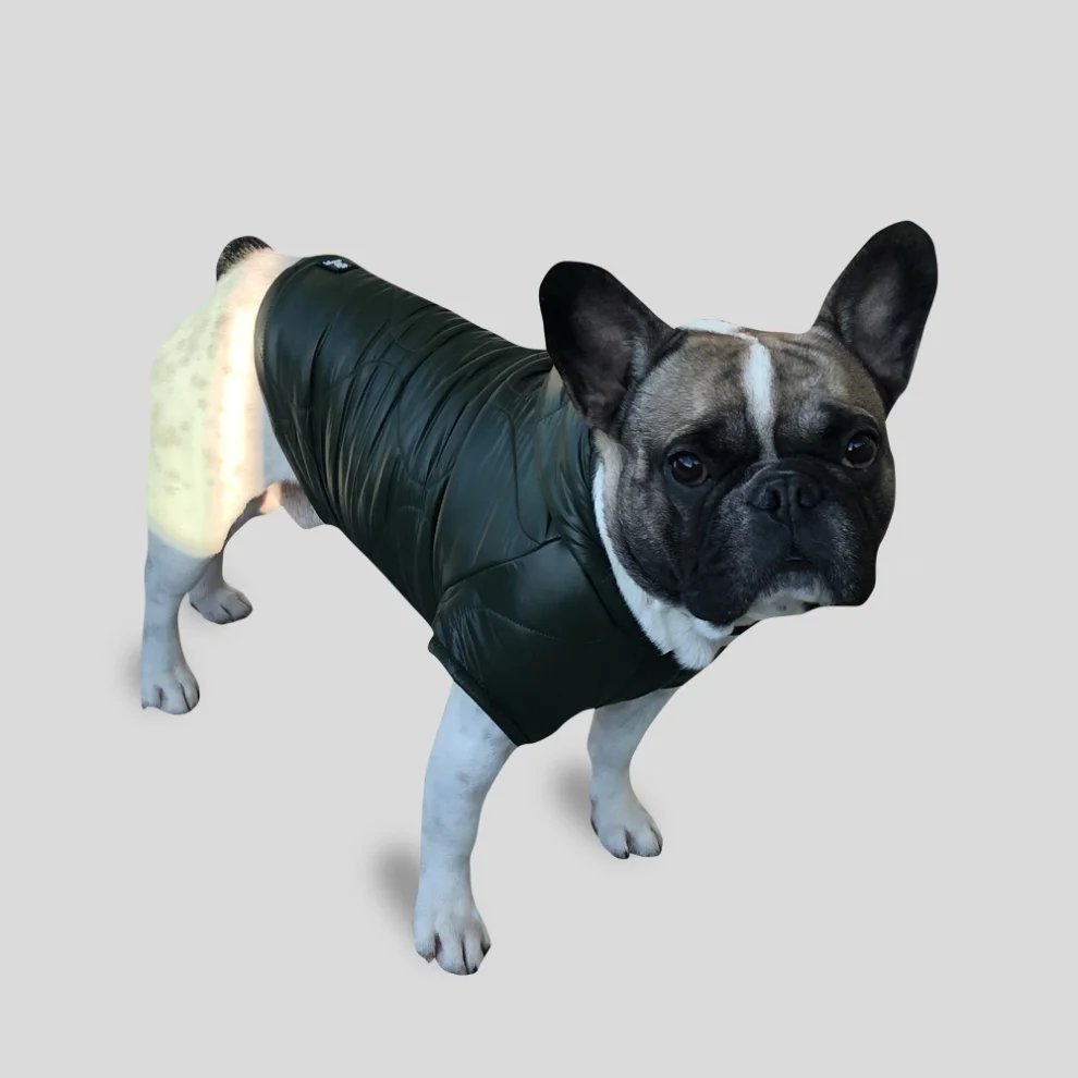 Cream Grey - Nova Dog Coat/Raincoat