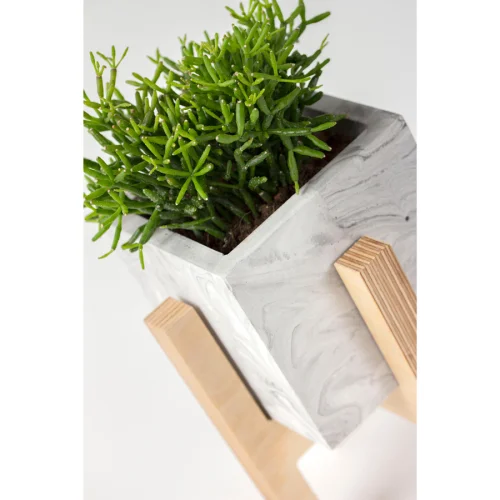 Womodesign - Concrete Flowerpot With Wooden Base