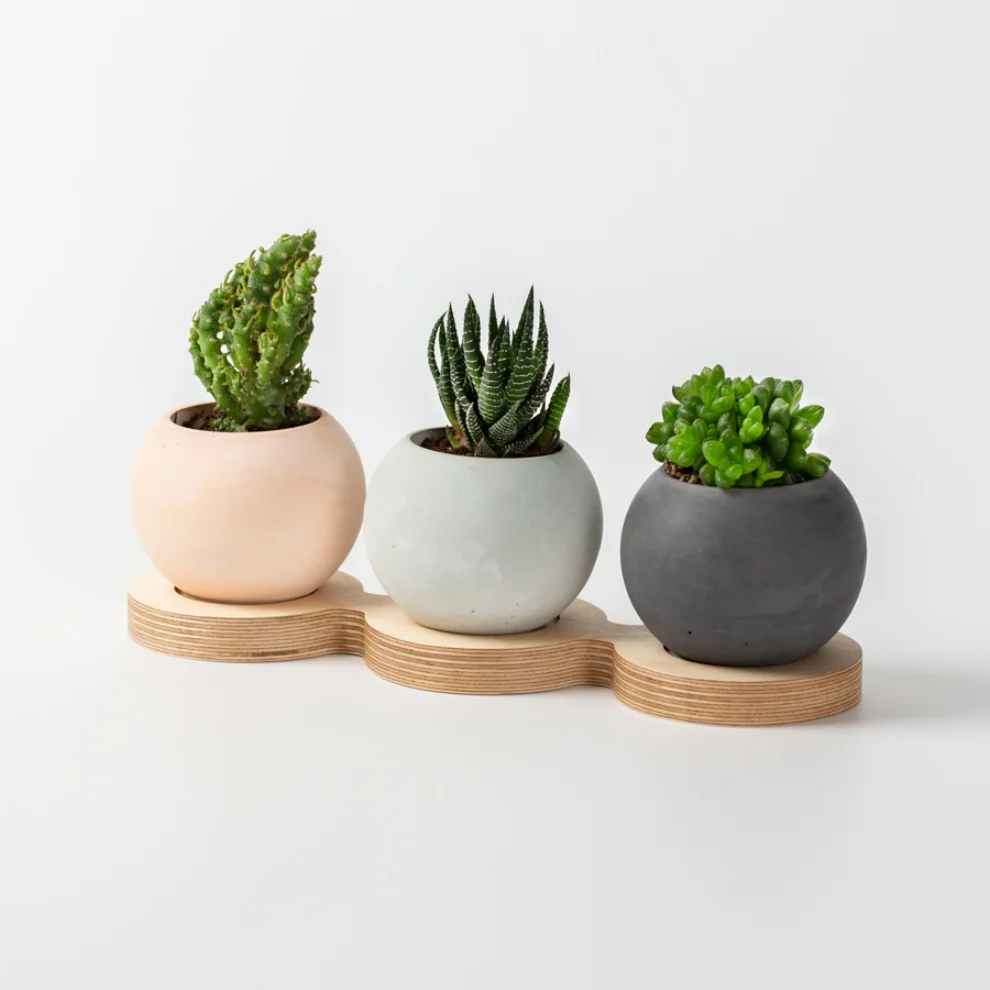 Womodesign - Concrete Flowerpot With Wooden Platform