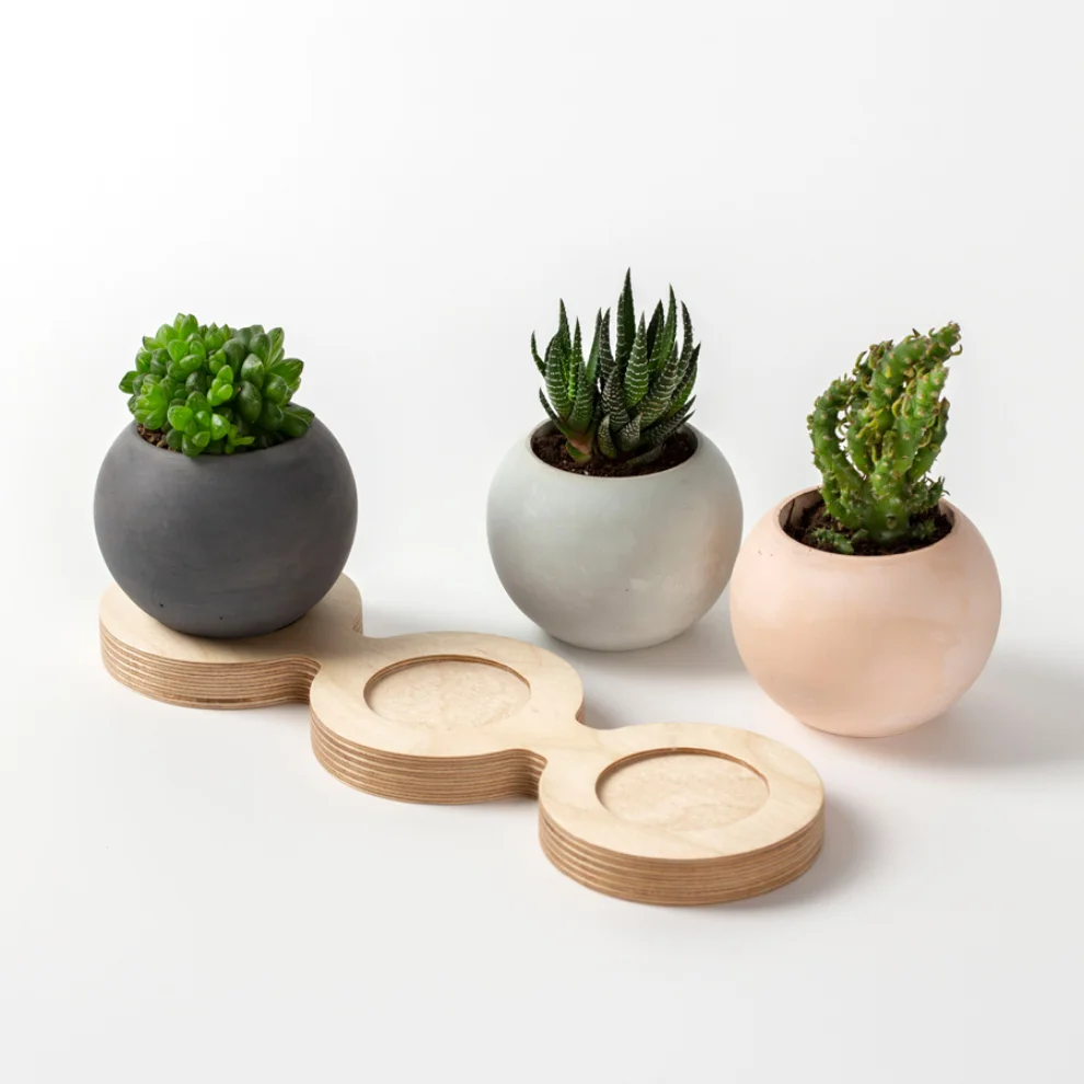 Womodesign - Concrete Flowerpot With Wooden Platform