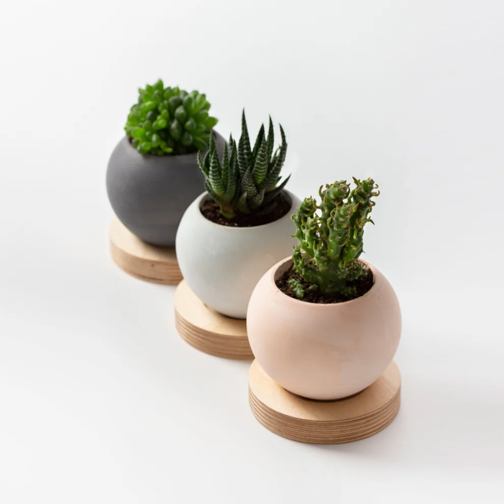 Womodesign - Concrete Flowerpot With Wooden Platform