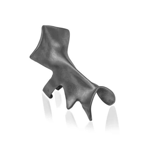 602Lab - Pelvis Ring