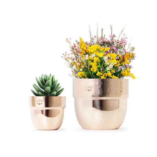 Coho Objet - Artisan I Want You Too Copper Planter Set Of 2