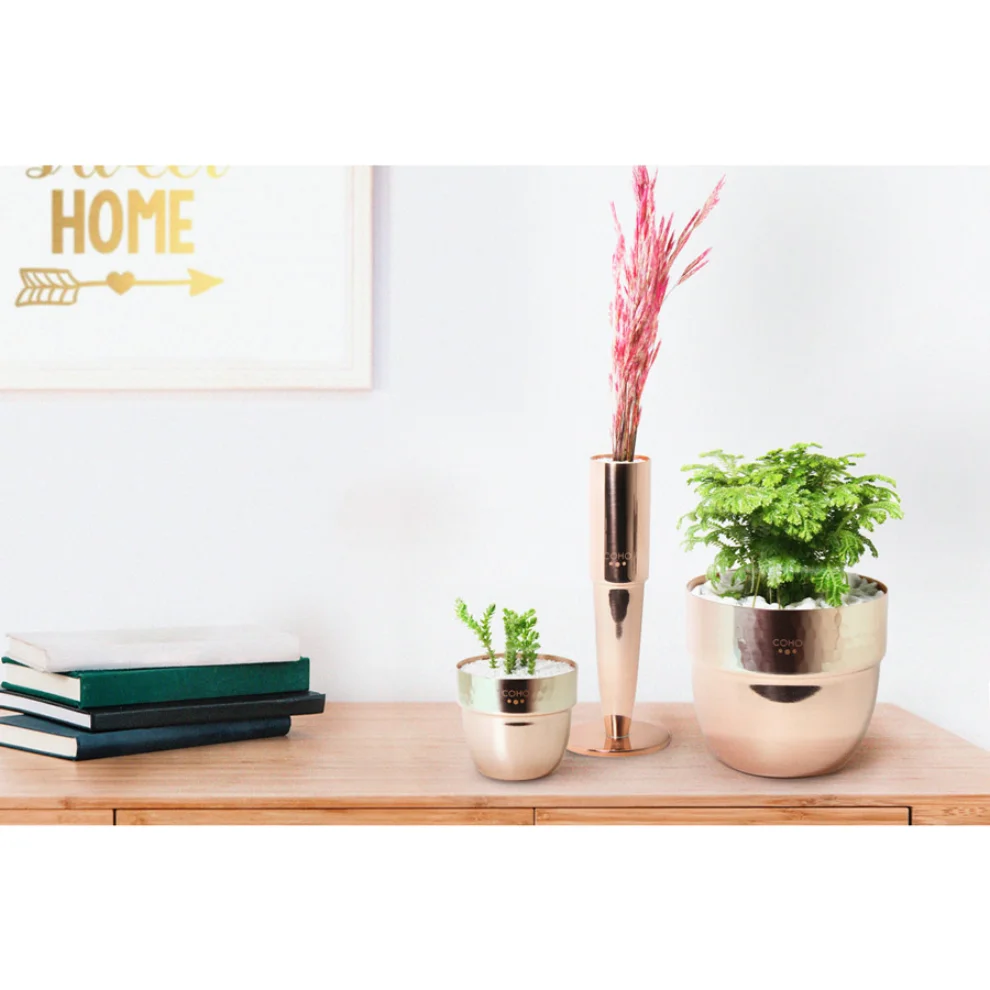 Coho Objet	 - Artisan I Want You Too Copper Planter Set Of 2