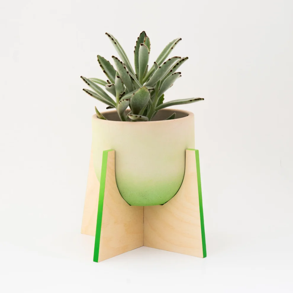 Womodesign - Pineapple - Ahşap Ayaklı Beton Saksı