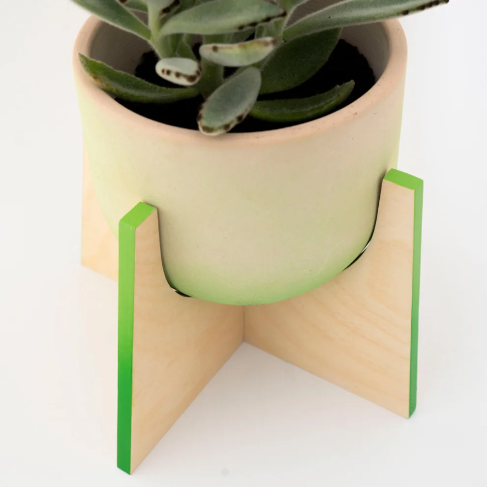 Womodesign - Pineapple - Concrete Flowerpot With Wooden Base
