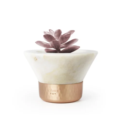 Coho Objet  - Fossile Inn Marble Succulent Pot With Copper Base