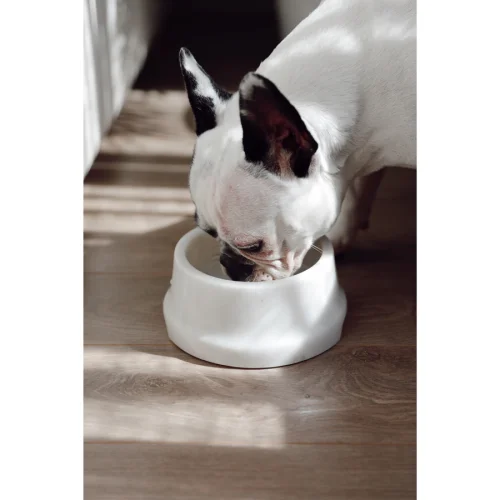 Minval - Joey Big Marble Pet Bowl