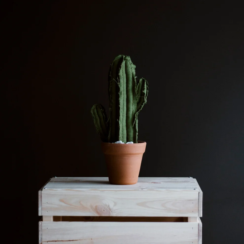 Dezirt - Large Saguaro Cactus Pot