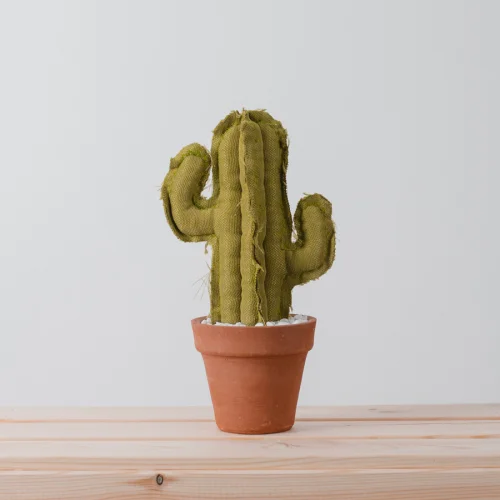 Dezirt - Medium Saguaro Cactus Pot