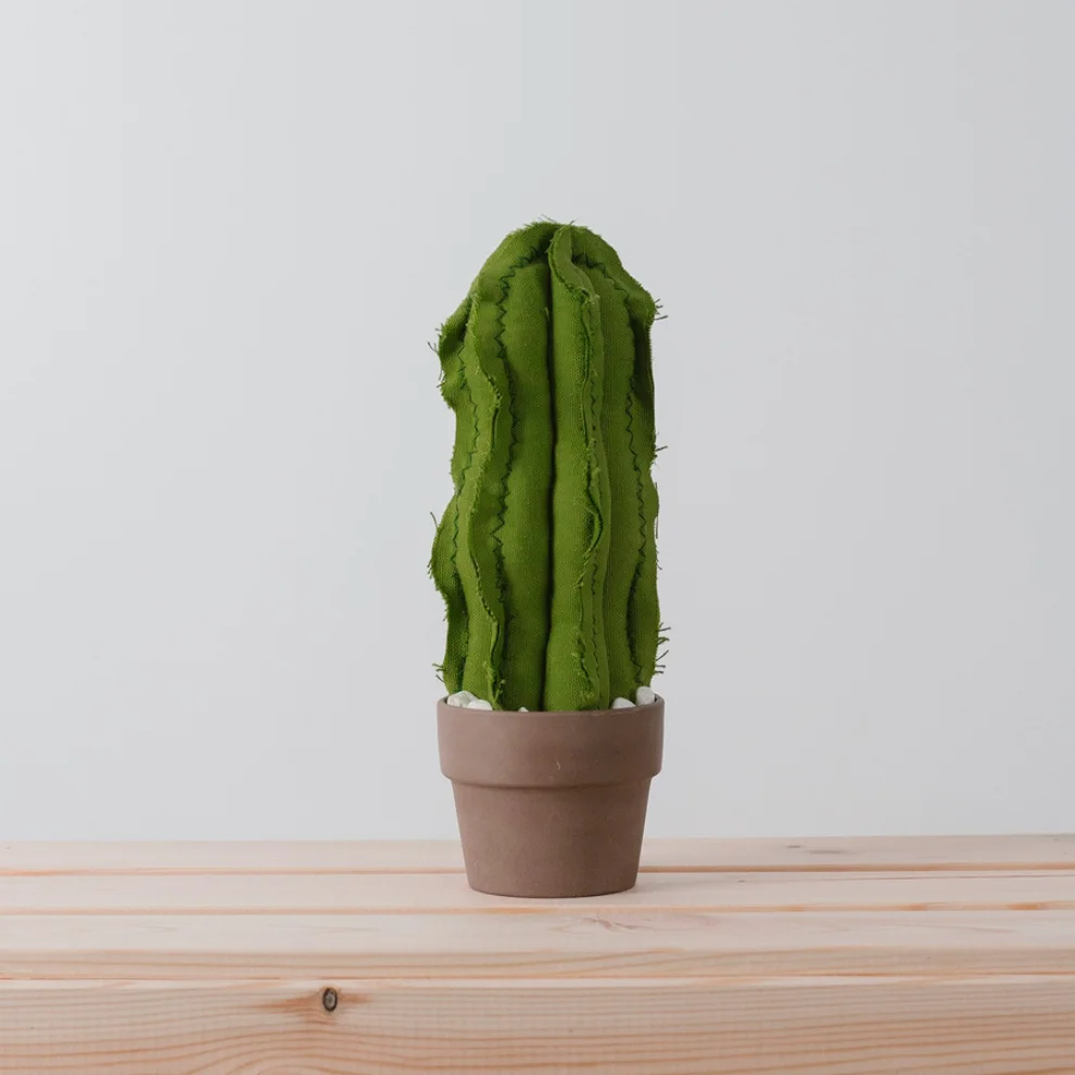 Dezirt - Medium Wavy Column Cactus Pot