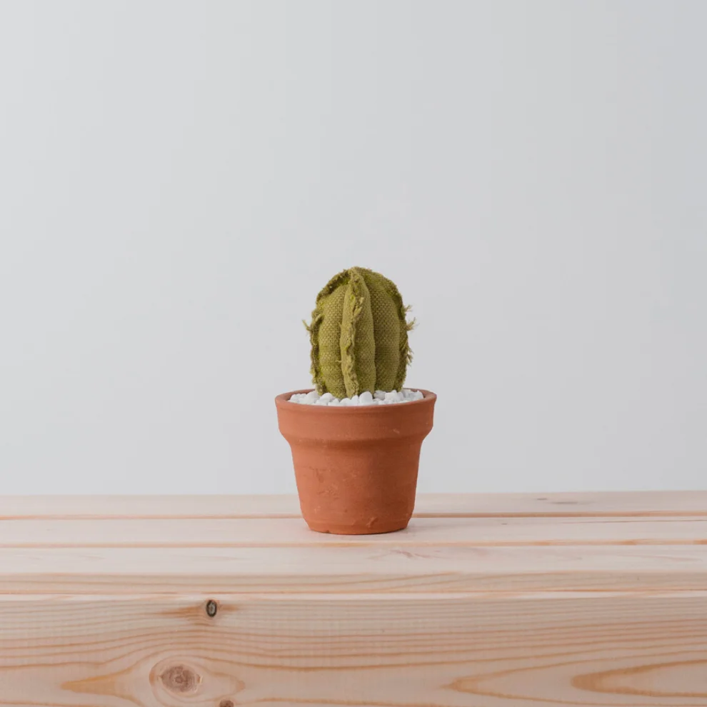 Dezirt - Medium Column Cactus Pot