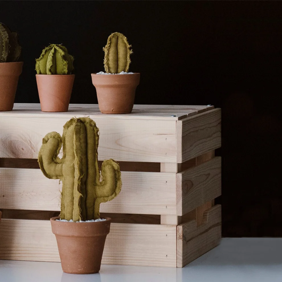 Dezirt - Medium Column Cactus Pot